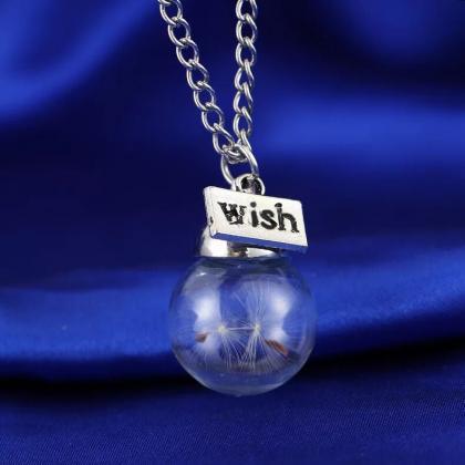 Wish Hopes The Glass Plant Seeds Dried Dandelion..