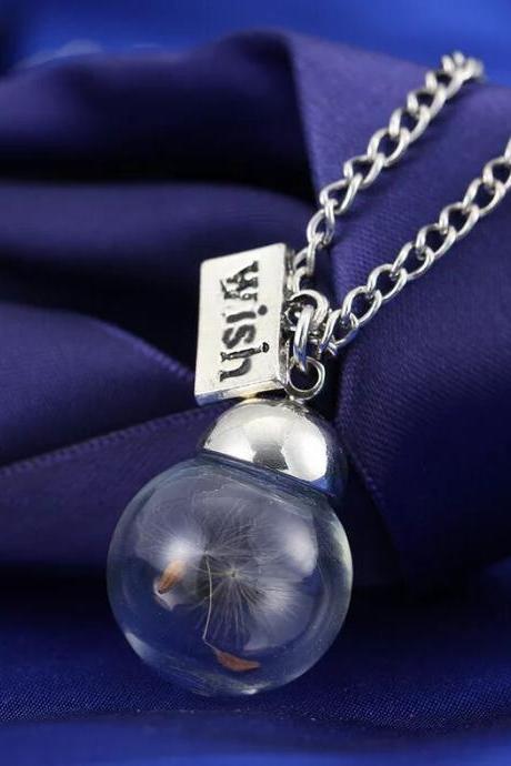 Wish hopes the glass plant seeds dried dandelion eternal sweater Necklace Pendant specimens